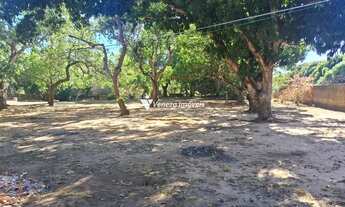 Imagem 6: TERRENO COM 5 HECTARES PARA VENDA BAIRRO VALE QUEM TEM