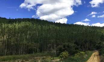 Imagem 7: Fazenda em Centro