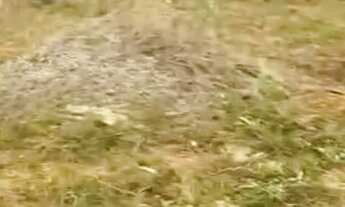 Imagem 2: Terreno 7x20 Terreno / lote com venda por R$40.000