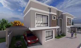 Imagem 3: CURITIBA - Padrão - Xaxim