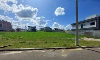 Imagem 2: Aruana 280 metros quadrados, plano pronto para construir