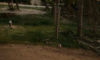 Imagem 6: Terreno na praia de flexeiras Ceará