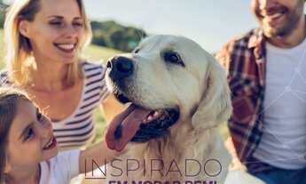 Imagem 6: Apartamento para venda possui 120 metros quadrados com 2 quartos