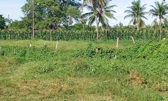 Imagem: Excelente Fazenda com 49 hectares na região
