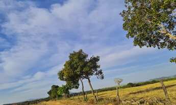 Imagem 6: Fazenda em Goianesia