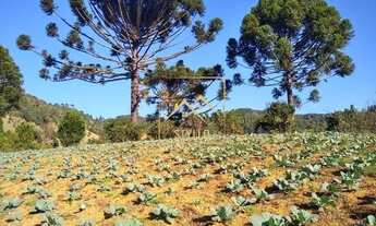 Imagem 3: Sítio com casa 4 dormitórios à venda em Anitápolis SC