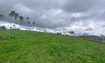 Imagem 3: 16 alqueires em Neropolis-Go