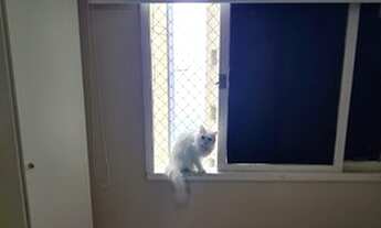 Imagem 7: Apartamento 3/4 no Corredor da Vitoria R$590.000