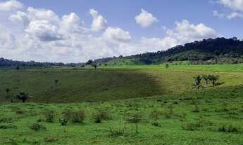 Imagem 4: Fazenda 42 alqueiro