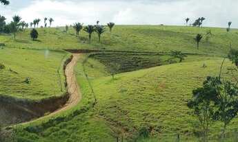 Imagem 2: Fazenda Sul da Bahia. Guaratinga