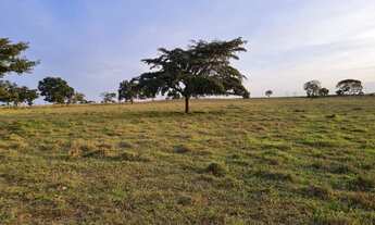 Imagem 5: Fazenda em Goianesia