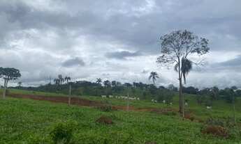 Imagem 4: 16 alqueires em Neropolis-Go