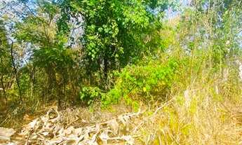 Imagem 3: Lote Vila boa 1 km do centro