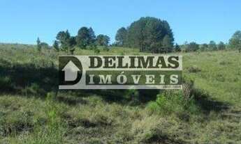 Imagem 7: Área Rural Fazenda para venda em Balsa Nova - PR