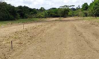 Imagem 6: Lote/Terreno para venda com 50000 metros quadrados em Aldeia dos Camarás - Camaragibe - PE