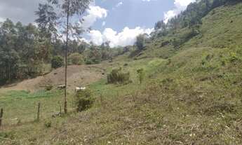 Imagem 5: Chácara contendo 12.000m² em Marmelópolis Sul de Minas Gerais