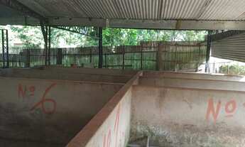 Imagem 2: Vendo terreno Terreno / lote com venda por R$48.000