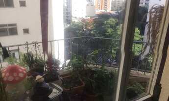 Imagem 4: Locação Moema Pássaros