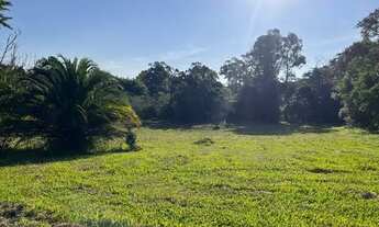 Imagem 9: Sítio Plano E Com Nascente Para Fazer Açude. ROB:899