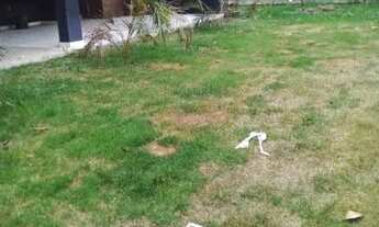 Imagem 3: Vendo Casa Casa com 2 dormitórios