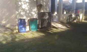 Imagem 2: VENDE-SE CASA EM Feu Rosa - Serra