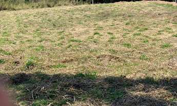 Imagem 5: Terrenos em cotia com uma grande promoção!