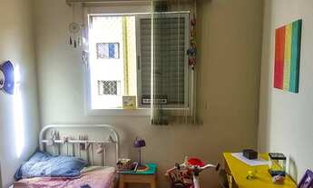 Imagem 2: Apartamento à Venda - Ponte Preta, 3 Quartos, 81 m2