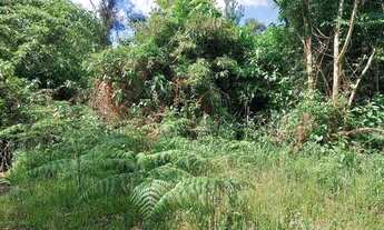 Imagem 5: Sítio no bairro Bugre em Canela!