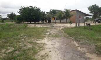 Imagem 2: Vendo sitio em Castanhal