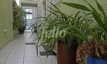 Imagem: São Paulo - Casa Padrão - Mooca