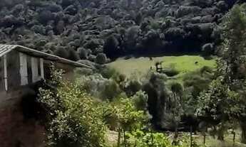 Imagem 2: Terreno 12x30 Terreno / lote com venda por R$55.000