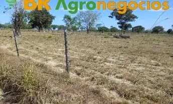 Imagem 7: Oportunidade: Fazenda de 38 Alqueires - Monte Santo - TO