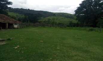 Imagem 4: FAZENDA RURAL em AREIAS - SP, CENTRO