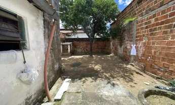 Imagem 6: Imóvel a venda em Feu Rosa com urgência