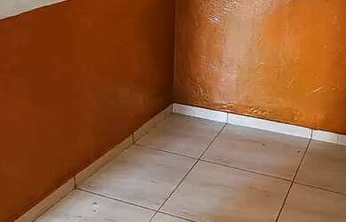 Imagem 5: Casa para alugar