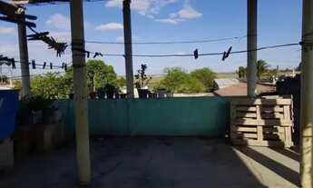 Imagem 7: Vende-se Vasa em Padro Canário