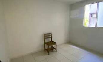 Imagem 6: Paradiso Anturio