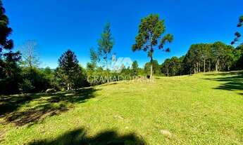 Imagem 4: OPORTUNIDADE SÍTIO COM CACHOEIRA EM CANELA!