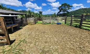 Imagem 4: Vendo fazenda em Ubatã