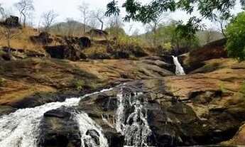 Imagem 6: Chácara em Taquaruçu