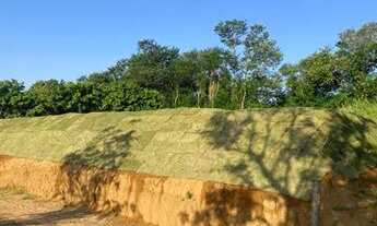 Imagem 6: A20 Lote/Terreno - Jacareí - SP ótima oportunidade venha conhecer lindo lugar agende sua