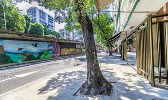 Imagem: Pinheiro Machado