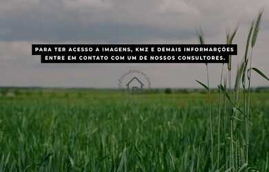 Imagem 5: Fazenda à venda em João Pinheiro em Mina Gerais