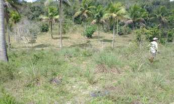 Imagem 3: Imóvel para venda possui 322000 metros quadrados em Zona Rural - Conde - BA