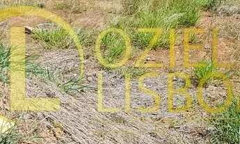 Imagem 5: LOTE 775m² NASCENTE COM 155 DE FRENTE 100%PLANO MURADO COM PORTÃO CONDOMÍNIO RUA 04 VICE