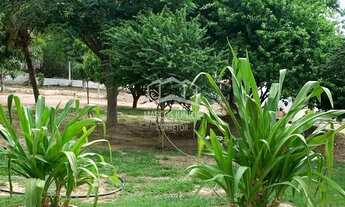 Imagem 7: VENDO LINDO SITIO DE 16 HECTARES NA BARRAGEM DO BICO DA PEDRA EM JANAUBA MG!