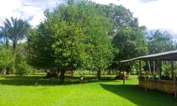 Imagem 2: Sítio/Terreno/AM 240/Estrada de Balbina, KM 28/48 Hectares