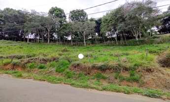 Imagem 2: Lote localizado, Violeira, Viçosa - MG