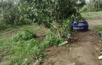 Imagem 3: Casa em Riachão do Jacuípe analiso troca