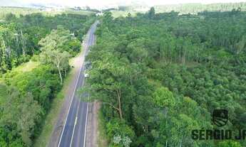 Imagem 2: Área de terra com 26,7ha e frente para o asfalto, 8 km de Montenegro